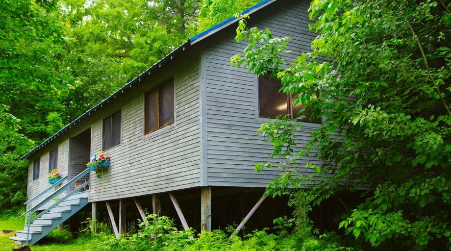 Camp cabin in the woods