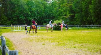 Horseback ring