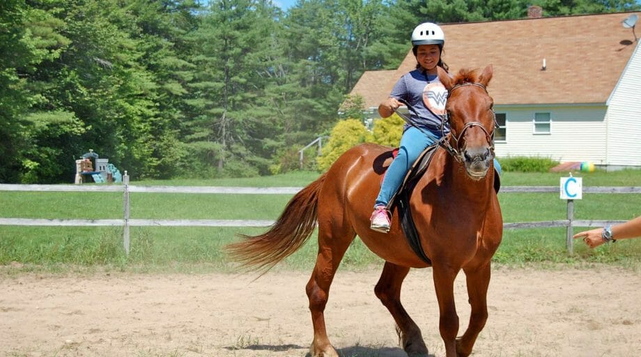 Camper riding a brown horse