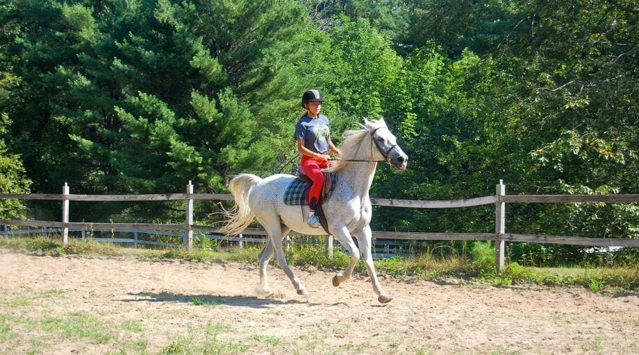 Camper riding a white horse