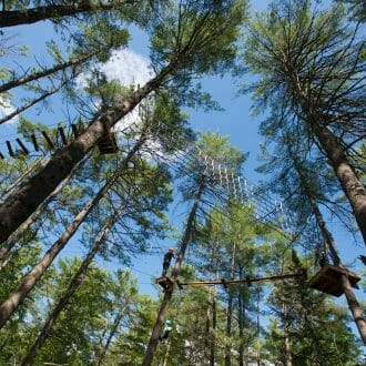 Campers on the high ropes course at the adventure park